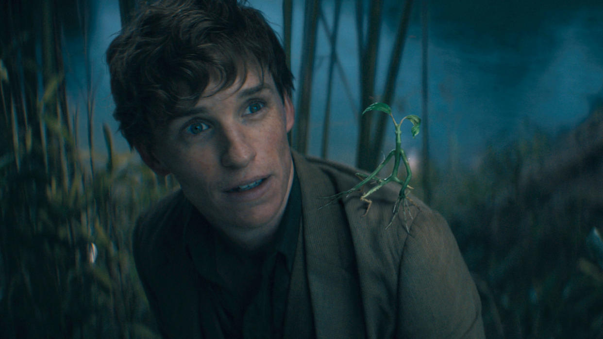  Eddie Redmayne in Fantastic Beasts 