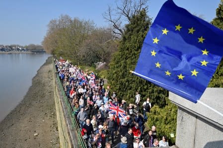 Pro-Brexit protesters take part in the March to Leave demonstration in London