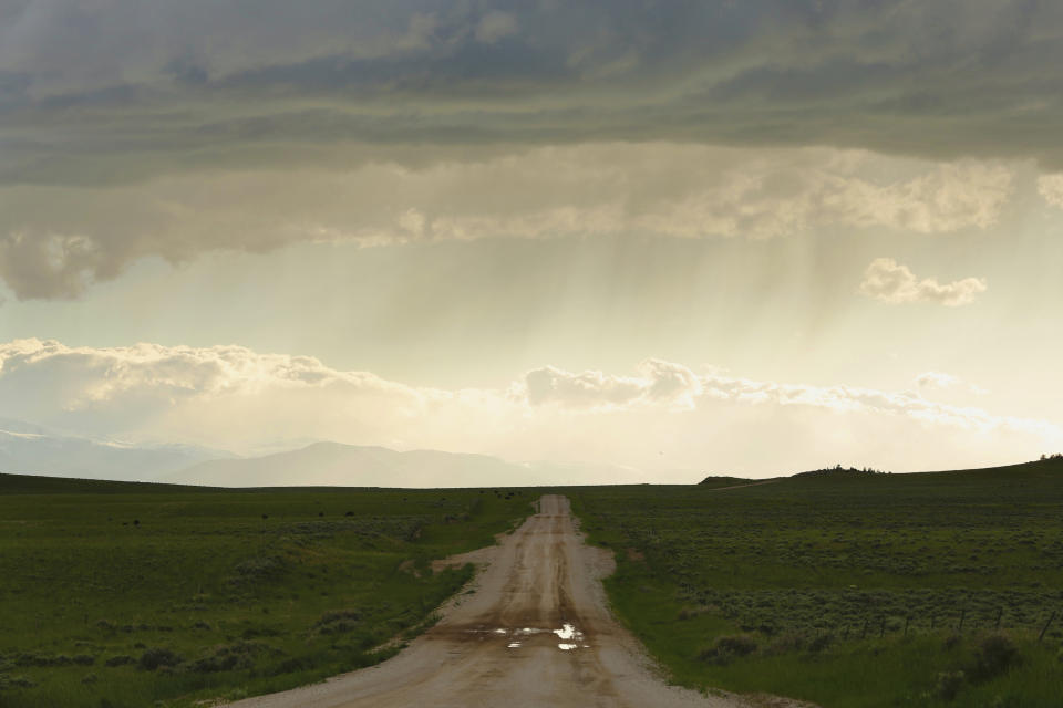 This Monday, June 13, 2022 photo shows a road along the Montana-Wyoming state line. The region is ground zero in the conflict between golden eagles and wind farms, which both find homes in areas where there are strong winds. As wind turbines proliferate, scientists say deaths from collisions could drive down golden eagle numbers considered stable at best and likely to drop in some areas. (AP Photo/Emma H. Tobin)