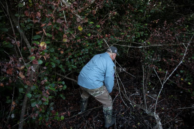 Thomas Aycock explores the Everglades' swamps and sawgrass as he hunts Burmese pythons near Ochopee