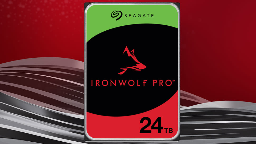  Seagate IronWolf Pro 24TB . 