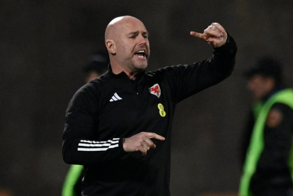 Dismissed: Rob Page has been relieved of his duties as manager of Wales (AP)