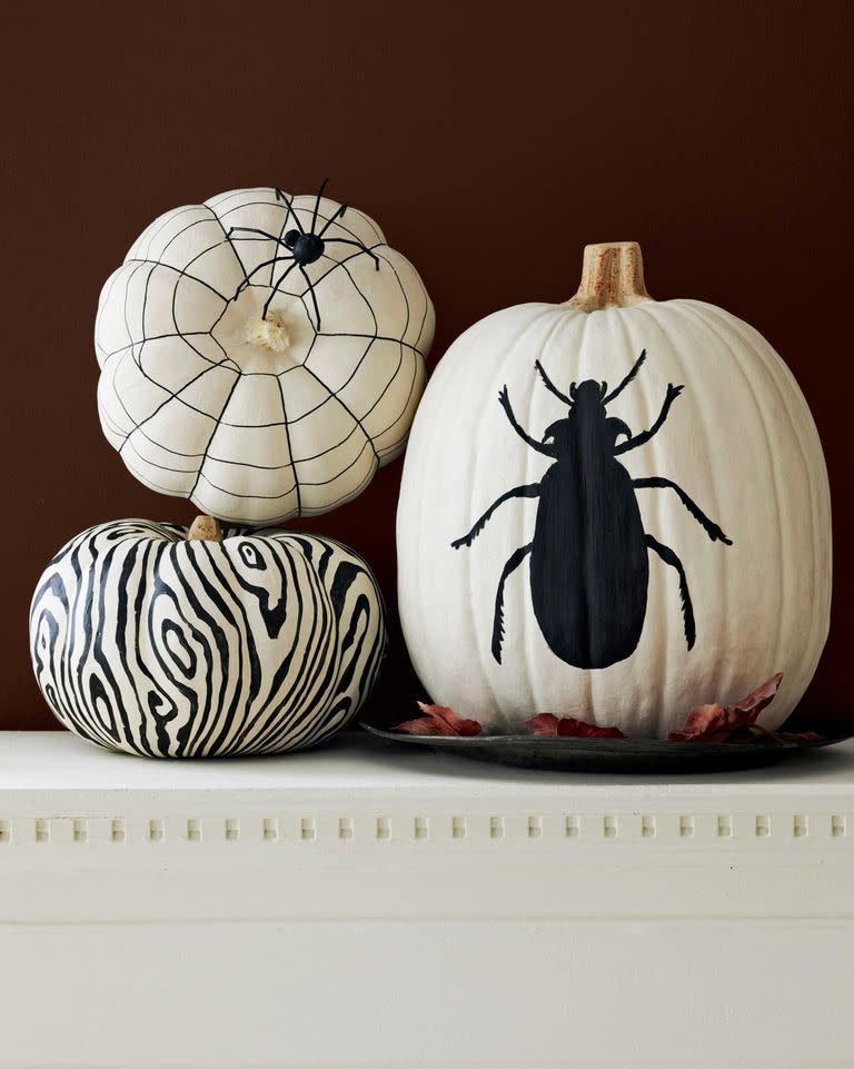 <p>Stylist Liz Demos loves nothing more than graphic pumpkin designs. She started these with a coat of white flat acrylic craft paint. After allowing 20 minutes to dry, a black paint pen and black flat acrylic craft paint was used to create the bold designs. <br></p><p><em><a href="https://www.countryliving.com/diy-crafts/how-to/a3032/pumpkin-painting-1009/" rel="nofollow noopener" target="_blank" data-ylk="slk:Get the tutorial »;elm:context_link;itc:0;sec:content-canvas" class="link ">Get the tutorial »</a></em><a href="https://www.amazon.com/Liquitex-BASICS-Acrylic-Paint-Black/dp/B0014ZNJVW?tag=syn-yahoo-20&ascsubtag=%5Bartid%7C10055.g.33437890%5Bsrc%7Cyahoo-us" rel="nofollow noopener" target="_blank" data-ylk="slk:;elm:context_link;itc:0;sec:content-canvas" class="link "><br></a></p><p><a class="link " href="https://www.amazon.com/Liquitex-BASICS-Acrylic-Paint-Black/dp/B0014ZNJVW?tag=syn-yahoo-20&ascsubtag=%5Bartid%7C10055.g.33437890%5Bsrc%7Cyahoo-us" rel="nofollow noopener" target="_blank" data-ylk="slk:SHOP BLACK PAINT;elm:context_link;itc:0;sec:content-canvas">SHOP BLACK PAINT </a><br></p>