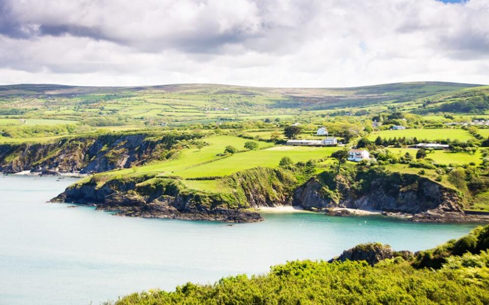 Dinas Island, Pembrokeshire