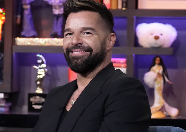 <p>(Photo by: Charles Sykes/Bravo via Getty Images)</p> Ricky Martin