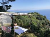 <p>If you find that you have indulged in one too many plates of pesto pasta, <a href="http://www.laportofinese.it/en/portfolio_page/eco-wellness/" rel="nofollow noopener" target="_blank" data-ylk="slk:La Portofinese;elm:context_link;itc:0;sec:content-canvas" class="link ">La Portofinese</a> offers private and semi-private yoga and pilates classes at their hilltop farm. The property is one of the few working farms left in Portofino, and it produces olive oil, honey, and wine. Its signature yoga classes are offered outdoors in the gardens, with sweeping views of the sea below. After class, guests can enjoy picnics, meandering hikes throughout the property, visits to the vineyards, or tastings of La Portofinese’s honey, which is produced from local beehives.</p>