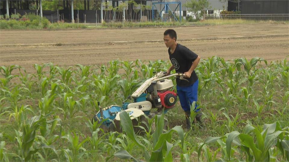 鼓勵學生做中學　旗山農工專業技術對接產業趨勢