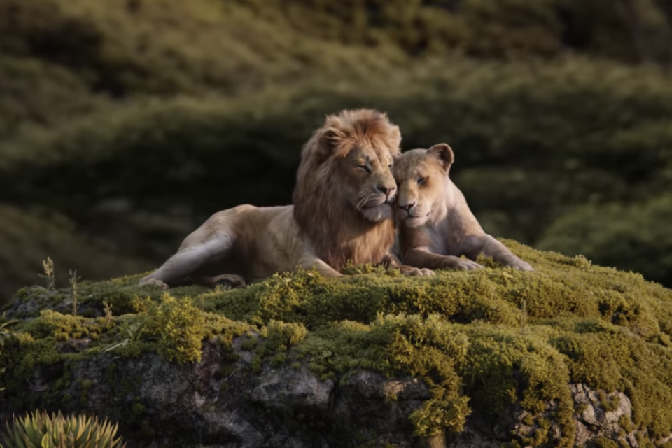 The soundtrack for Disney’s upcoming Lion King remake has been unveiled, featuring a new song co-written by Elton John.“Never Too Late”, the new tune, was co-authored by John and Tim Rice. It will be performed by John along with an African choir.This means that John, who also delivered the original tune “(I’m Gonna) Love Me Again” with his lyricist Bernie Taupin for his biopic Rocketman, could conceivably be up for two Best Original Song Oscars in 2020 – as both tunes are likely to attract the Academy’s attention.The newly unveiled Lion King remake was made available on Monday, as tickets for the film became available.Contrary to previous reports that claimed only four songs from Disney’s 1994 animated movie would make it into the remake, the new film is now poised to include all the songs from the original movie.Chiwetel Ejiofor, who is voicing Scar, will notably perform the power-hungry hymn “Be Prepared”. The song, per the tracklist published by Pitchfork, will be presented in a “2019 version”, which hints that there might be some notable changes to it.Other beloved tracks, such as “Circle of Life”, “I Just Can’t Wait to Be King” and “Hakuna Matata” are also included.The 19-strong tracklist includes a mysterious “TBA” title in its 14th position.Notably, Beyoncé, who voices Nala, currently appears only once in the announced soundtrack, for “Can You Feel the Love Tonight”. The yet-to-be-unveiled song led to some speculation that the star could contribute another tune to the film for a later announcement.Pharrell Williams produced four of the soundtrack’s tunes: “I Just Can’t Wait to Be King”, “Hakuna Matata”, “Can You Feel the Love Tonight”, and “Mbube”.The Lion King will be released on 19 July.Here is the full tracklist for the new Lion King soundtrack: 1. “Circle of Life / Nants’ Ingonyama”, performed by Lindiwe Mkhize 2. “Life’s Not Fair”, Hans Zimmer 3. “Rafiki’s Fireflies”, Hans Zimmer 4. “I Just Can’t Wait to Be King”, performed by JD McCrary, Shahadi Wright Joseph, John Oliver 5. “Elephant Graveyard”, Hans Zimmer 6. “Be Prepared (2019 Version)”, performed by Chiwetel Ejiofor 7. “Stampede”, Hans Zimmer: “ 8. “Scar Takes the Throne”, Hans Zimmer 9. “Hakuna Matata”, performed by Billy Eichner, Seth Rogen, JD McCrary, Donald Glover 10. “Simba Is Alive!”, Hans Zimmer 11. “The Lion Sleeps Tonight”, performed by Billy Eichner, Seth Rogen 12. “Can you Feel the Love Tonight”, performed by Beyoncé, Donald Glover, Billy Eichner, Seth Rogen 13. “Reflections of Mufasa”, Hans Zimmer 14. TBA 15. “Battle for Pride Rock”, Hans Zimmer 16. “Remember”, Hans Zimmer 17. “Never Too Late”, performed by Elton John 18. “He Lives in You”, performed by Lebo M 19. “Mbube”, performed by Lebo M