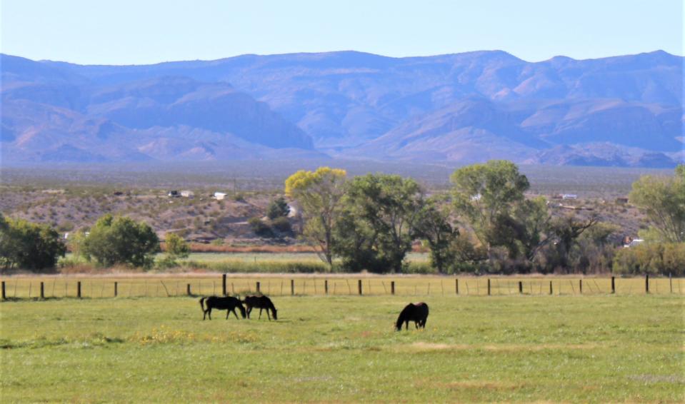 Beautiful ranching community