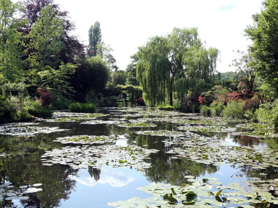 The garden of the Calude Monet Foundation pictured in 2017.