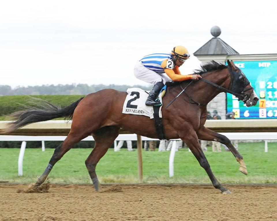 Dornoch, the 3-1 second choice in Saturday’s Blue Grass, picked up his maiden victory at Keeneland last October and has won both of his races since then. Keeneland Photo