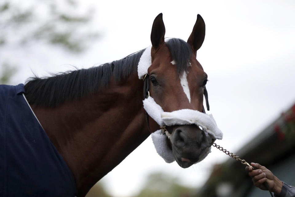 Maximum Security, the horse disqualified from the Kentucky Derby horse race, looks on after arriving at its home barn at Monmouth Park Racetrack, Tuesday, May 7, 2019, in Oceanport, N.J. The Kentucky Horse Racing Commission denied the appeal of Maximum Security's disqualification as Kentucky Derby winner for interference, saying the stewards' decision is not subject to appeal. Racing stewards disqualified Maximum Security to 17th place on Saturday and elevated Country House to first after an objection filed by two jockeys. Stewards determined he impeded the paths of several horses in the race. Owner Gary West confirmed that Maximum Security won't run in the upcoming Preakness, saying there's no need without a chance to compete for the Triple Crown. (AP Photo/Julio Cortez)