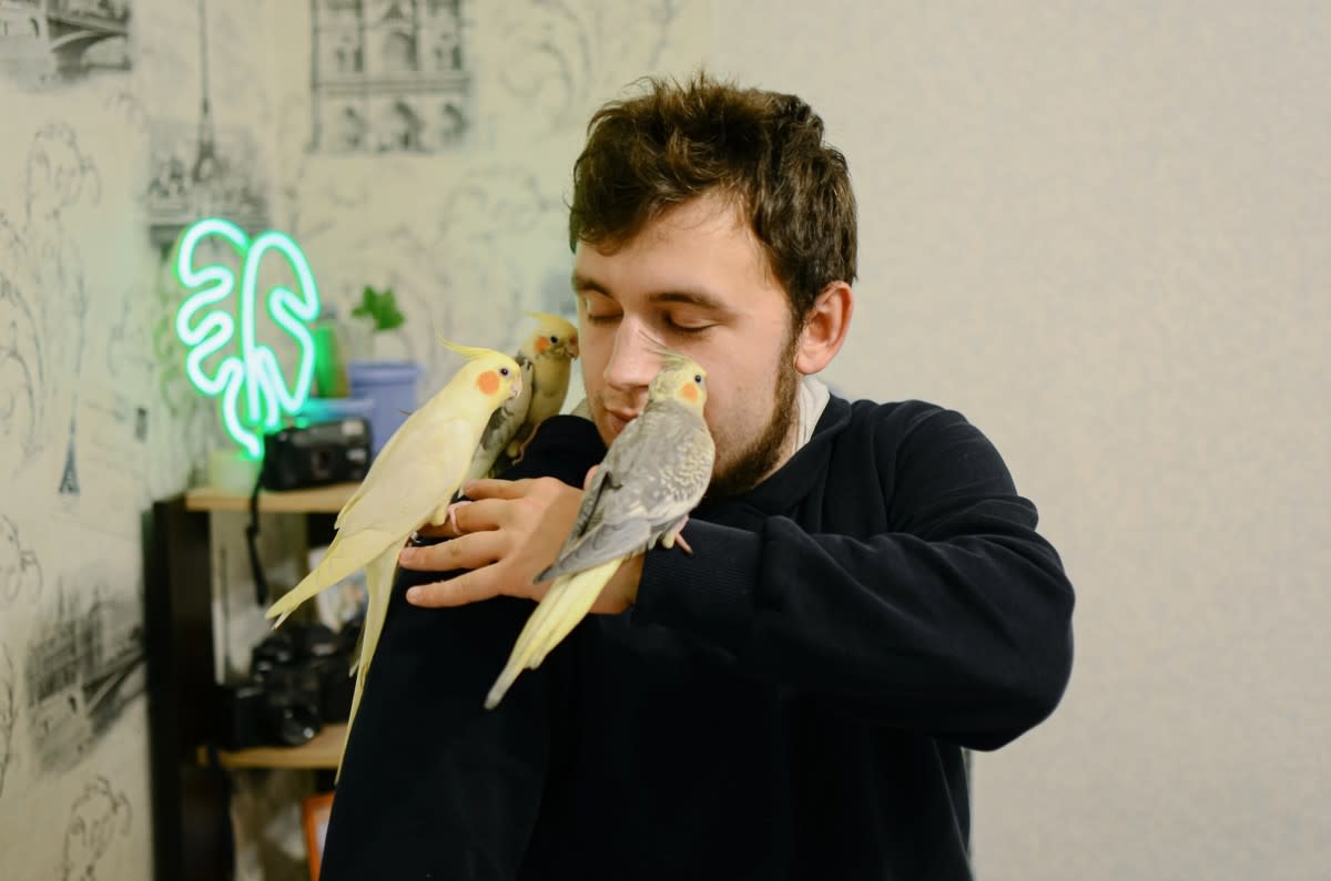 A man cuddling and kissing his three cockatiels<p>Daria_vg on Shutterstock</p>