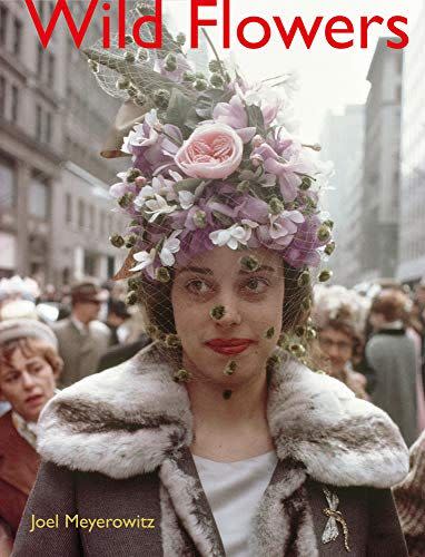 9) Joel Meyerowitz: Wild Flowers