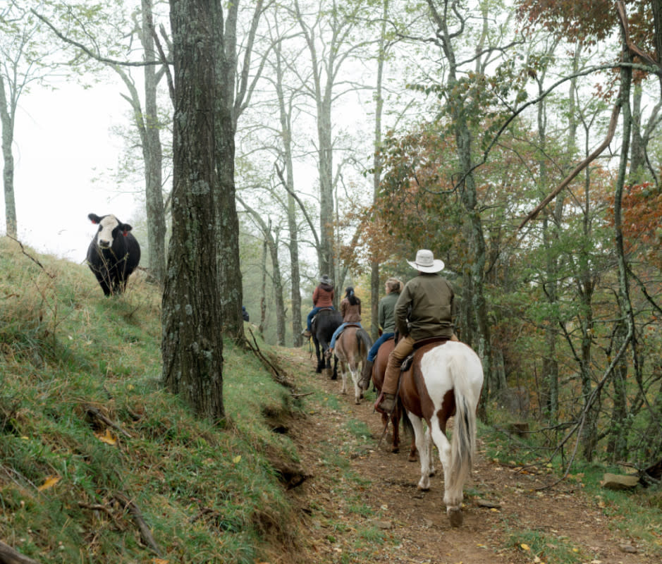 Choose your own adventure in the Smokies at the newly reopened <em>Relais & Chateau resort </em><em>Cataloochee Ranch. </em><p>Cataloochee Ranch</p>
