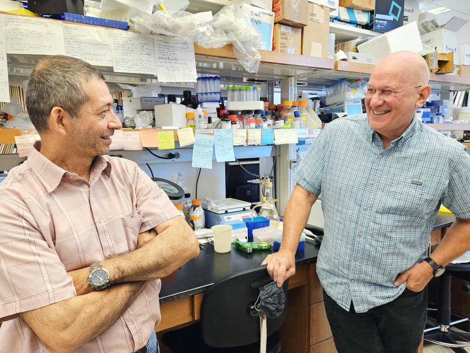 Rick Tarleton, right, leads a team of researchers at the University of Georgia that has developed a promising new drug for the treatment of Chagas disease, with researcher Angel Padilla. (Paula Andalo / KFF Health News)