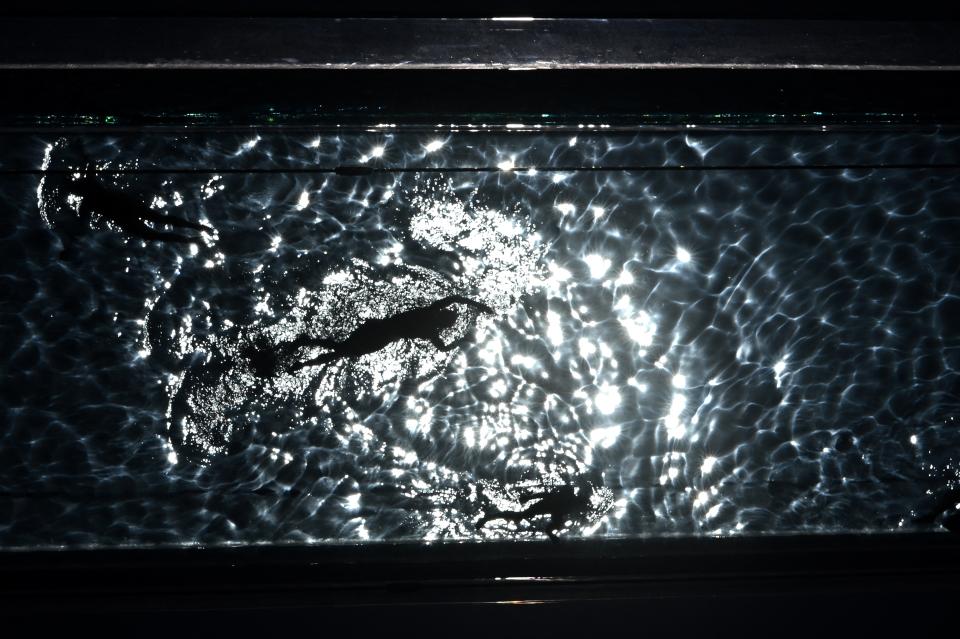 <p>People swim in the Sky Pool - a transparent acrylic swimming pool bridge that is fixed between two apartment blocks - Embassy Gardens next to the new US Embassy in south-west London on June 1, 2021. (Photo by JUSTIN TALLIS / AFP) (Photo by JUSTIN TALLIS/AFP via Getty Images)</p>
