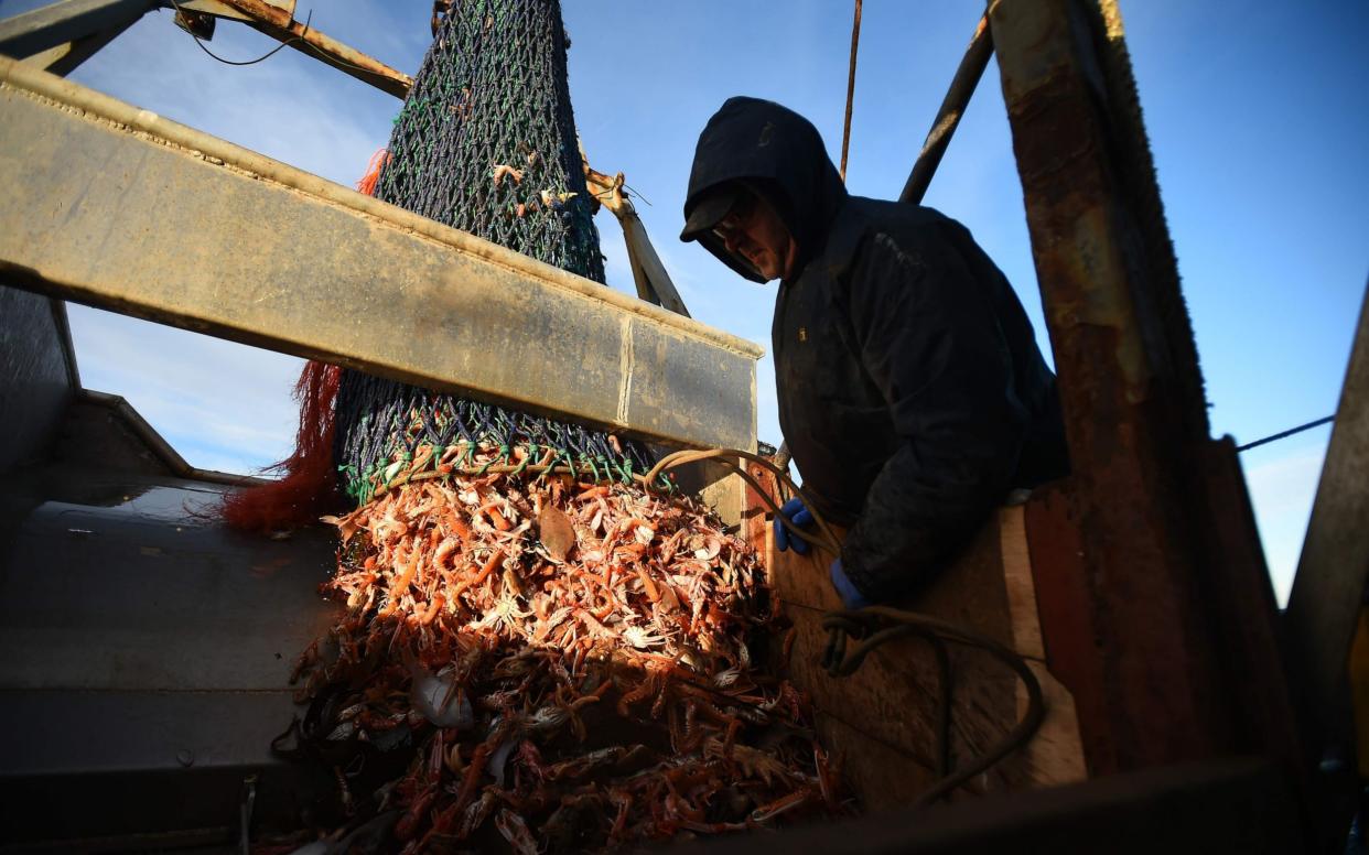 Crewman Gordon Mowbray works fishing for prawns on the fishing trawler 'Scotia Star' in the North Sea off the east coast of Scotland -  ANDY BUCHANAN/AFP