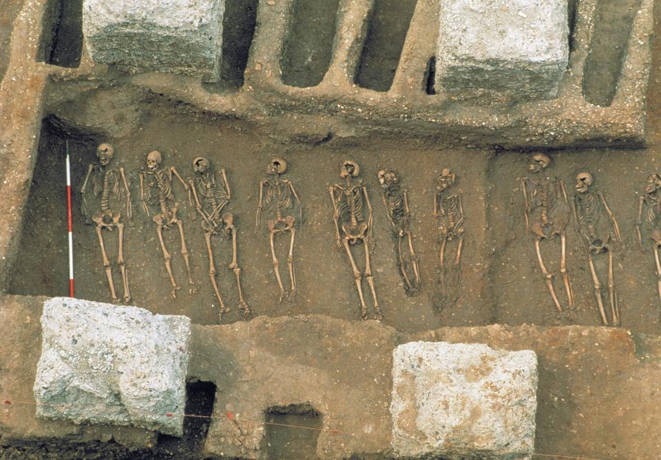 The Black Death killed around 50 million people - Getty