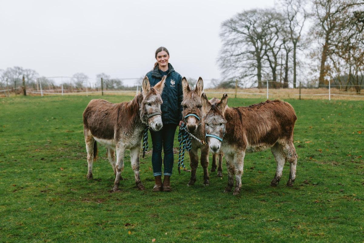 L-R: Isabelle, Isla and fellow rescue donkey Heather with Hannie Buckley <i>(Image: The Donkey Sanctuary)</i>