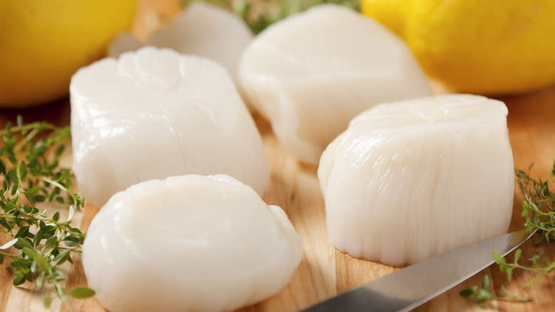 Fresh scallops on cutting board