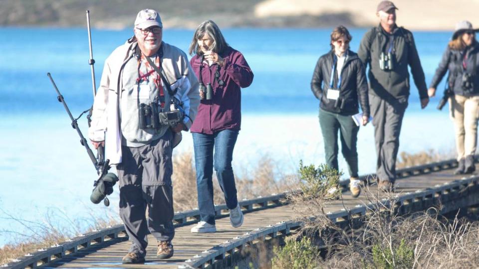 Jon Dunn leads a group of birdwatchers on Jan. 11, 2024, on a walk at the Morro Bay estuary during the Morro Bay Bird Festival. Dunn is a chief consultant for all five editions of the National Geographic Field Guide to the Birds of North America.