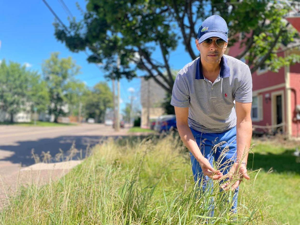 A City of Charlottetown bylaw says grass must not exceed a height of 150 millimetres.  (Steve Bruce/CBC  - image credit)