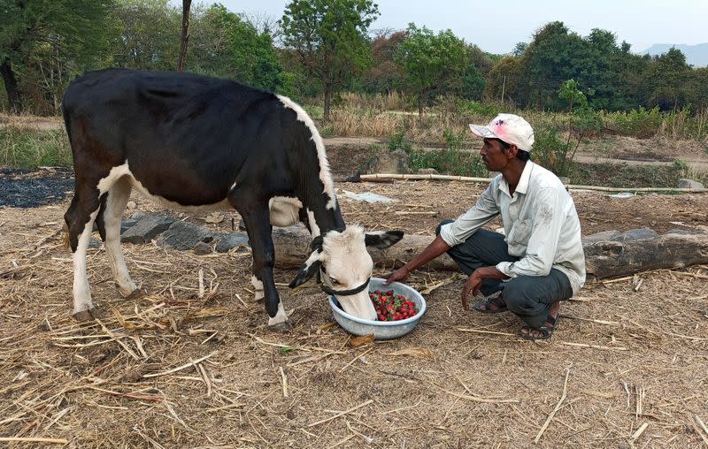 Outbreak of coronavirus disease (COVID-19) in Maharashtra