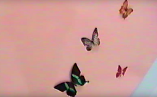 And butterflies in the nursery. Source: Kylie Jenner / YouTube