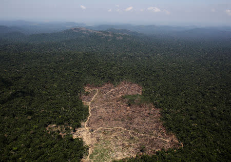 FILE PHOTO: An aerial view of a tract of Amazon jungle recently cleared by loggers and farmers near the city of Novo Progresso, Brazil September 22, 2013. Picture taken September 22, 2013. REUTERS/Nacho Doce//File Photo