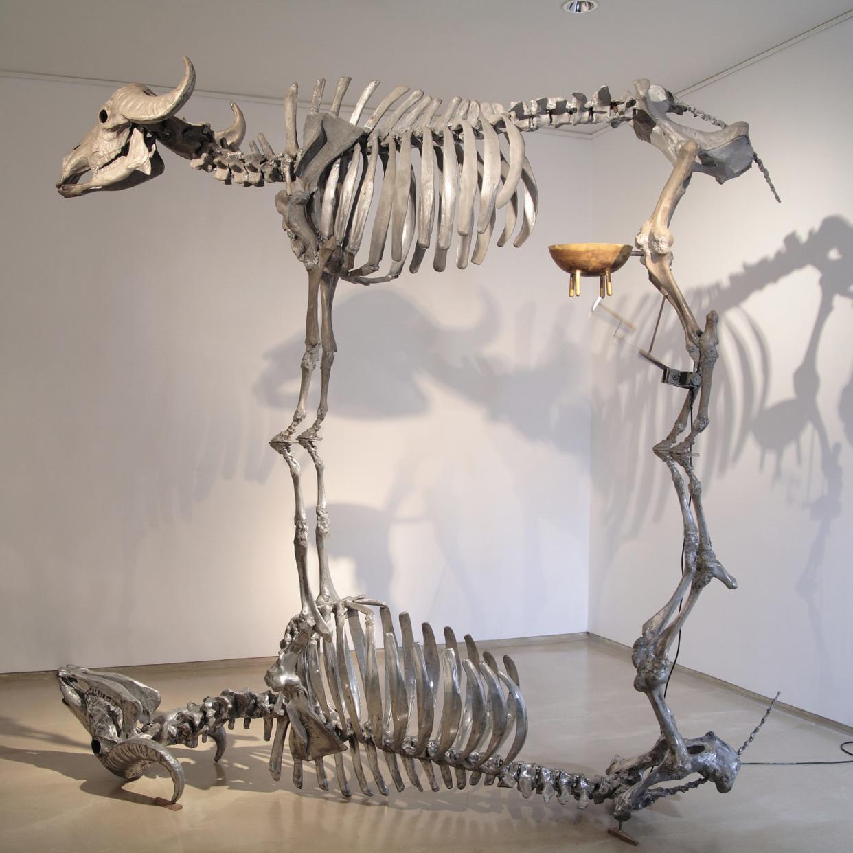 Sudarshan Shetty, Untitled (Double Cow, from the Show Love), 2006