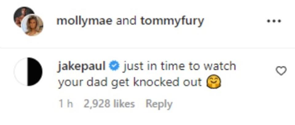 The YouTuber taunted Fury under his baby announcement (Instagram)