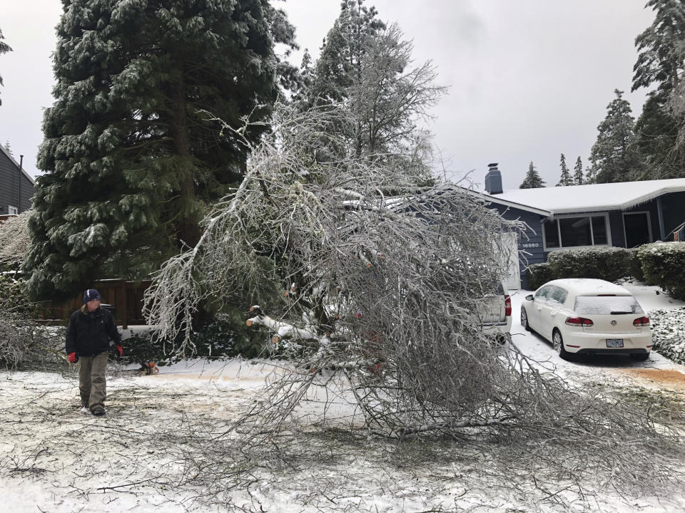 People walk by a collapsed tree in Lake Oswego, Ore., Saturday, Feb. 13, 2021. The tree fell during an ice and snowstorm that left hundreds of thousands of people without power and disrupted travel across the Pacific Northwest region. (AP Photo/Gillian Flaccus)