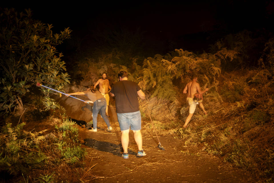 Local residents try to clean the forest to prevent it from flames as fire advances in La Orotava in Tenerife, Canary Islands, Spain on Saturday, Aug. 19, 2023. Firefighters have battled through the night to try to bring under control the worst wildfire in decades on the Spanish Canary Island of Tenerife, a major tourist destination. The fire in the north of the island started Tuesday night and has forced the evacuation or confinement of nearly 8,000 people. (AP Photo/Arturo Rodriguez)