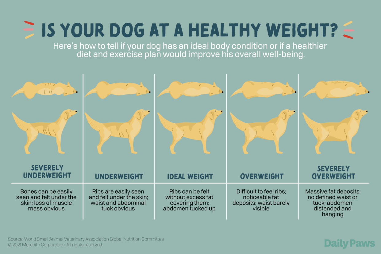 Dog healthy bodyweight chart