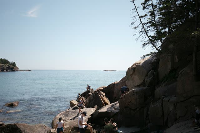 <p>Ivey Redding/Travel + Leisure</p> Rocky coastline of Acadia National Park.