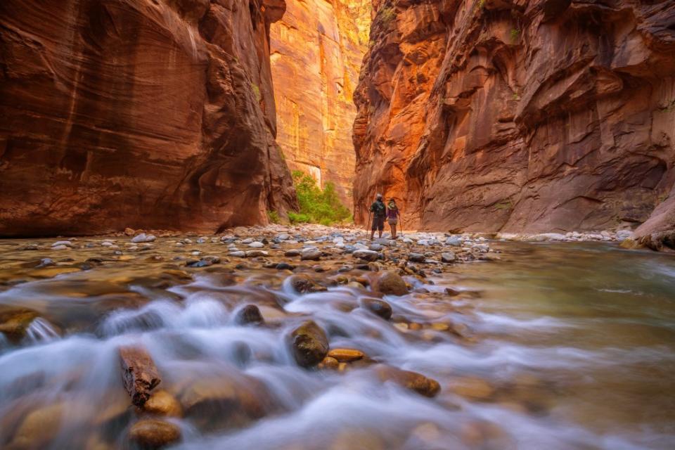 Zion National Park is anchored by the Virgin River. f11photo – stock.adobe.com