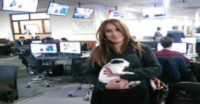 Gardi rescued a wounded rabbit while reporting on the war in Iraq. Photo: Rudaw