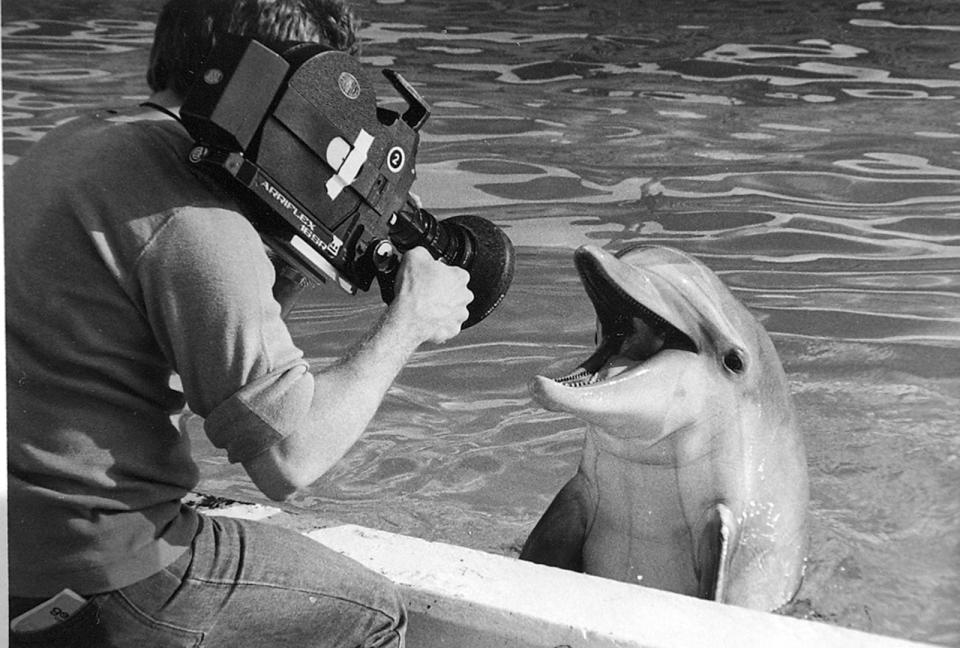 Nellie is filmed at Marineland for a commercial in the 1970s.