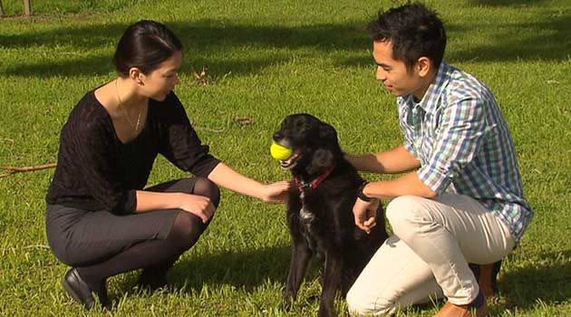 Nala back with Sarah and Mark today. Photop: 7News.