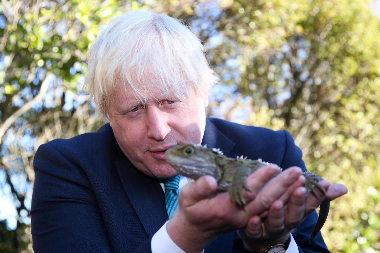 Native reptile: Boris Johnson holds a tuatara: Getty Images AsiaPac