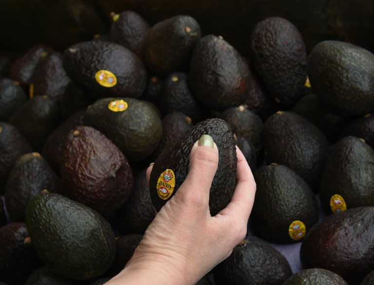 Hass avocados for sale at the Farmers Market in Los Angeles, California on January 22, 2015