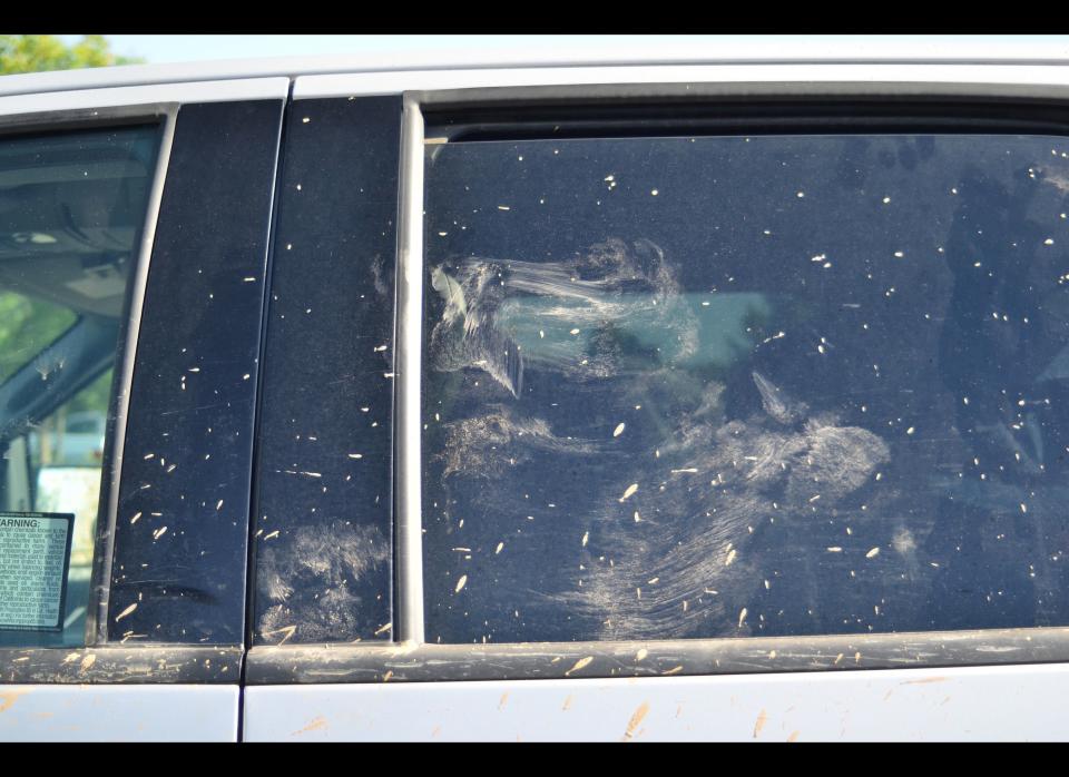 Bigfoot or bear? Pictured is a second impression left on the rear side window of the same truck from the previous slides. According to forensic/law enforcement photographer Mickey Burrow, "What you're seeing is a swipe mark. It looks like a small hand, swiping to the left, leaving another impression, and there's hair within those areas -- you can see where the hair would be."