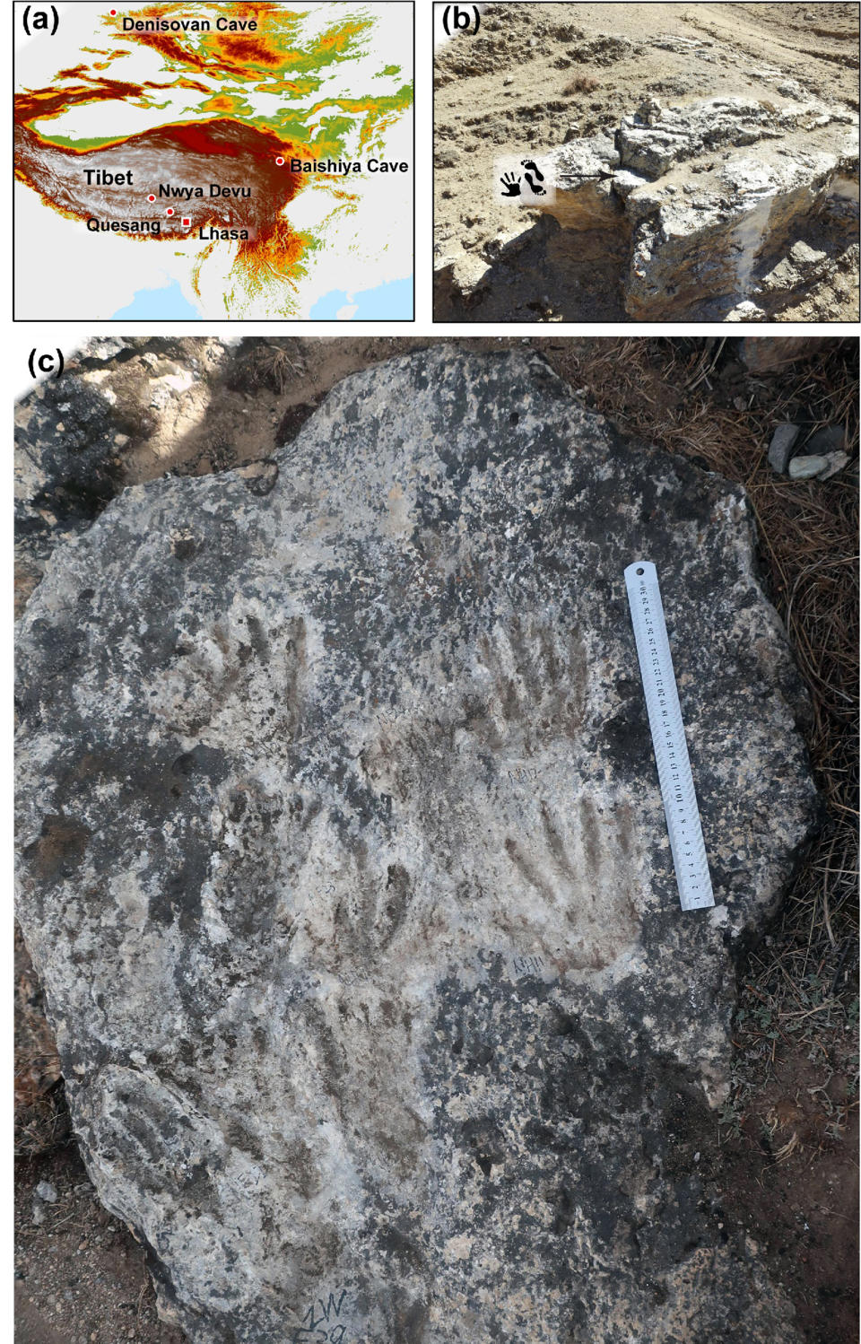 Image: limestone boulder at Quesang (Zhang et al / Science Bulletin)