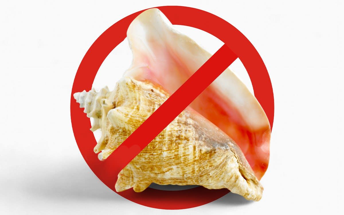 A conch shell behind a 'do not' sign