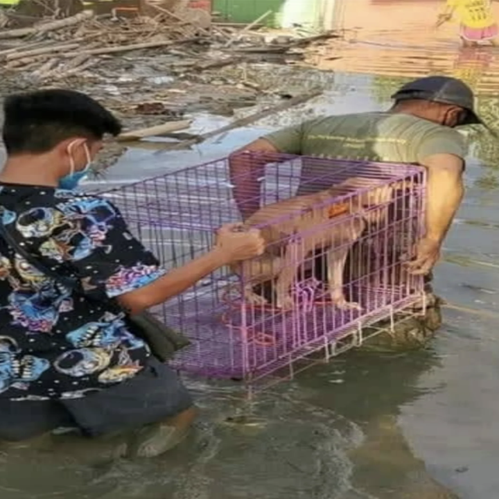 Two men carrying a dog in a cage