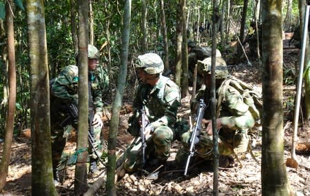 Soldiers of the Colombian National Army guard during an operation to eradicate coca plants at a plantation in Taraza