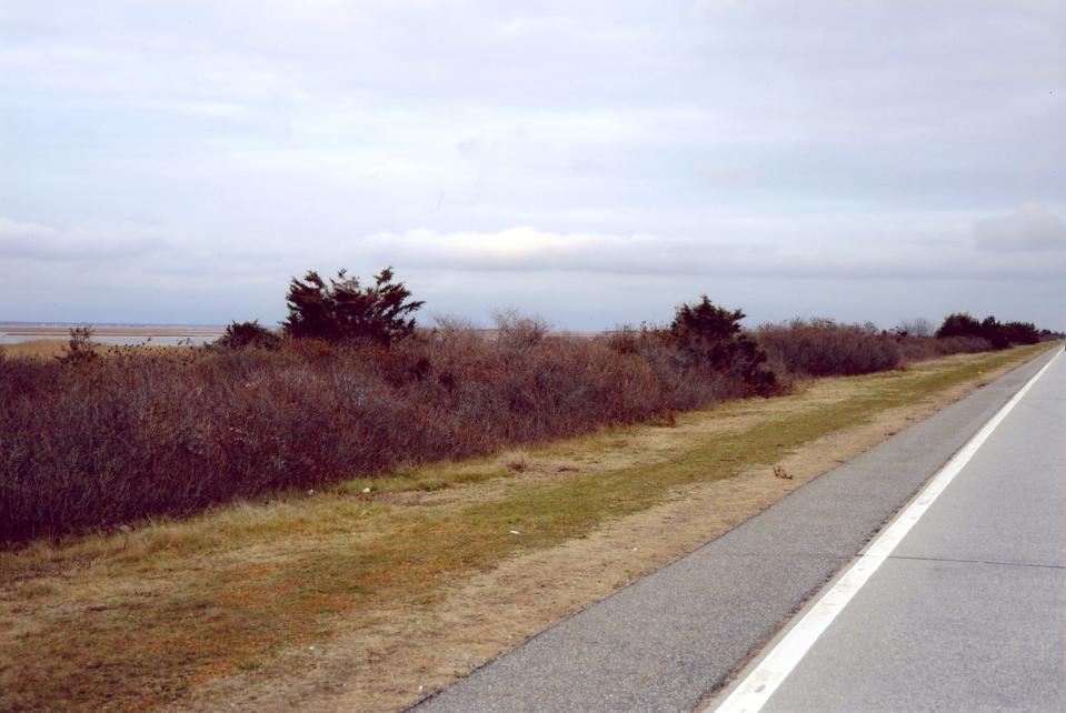 The site along Ocean Parkway where Maureen Brainard-Barnes’ remains were found (Suffolk County Police Department)