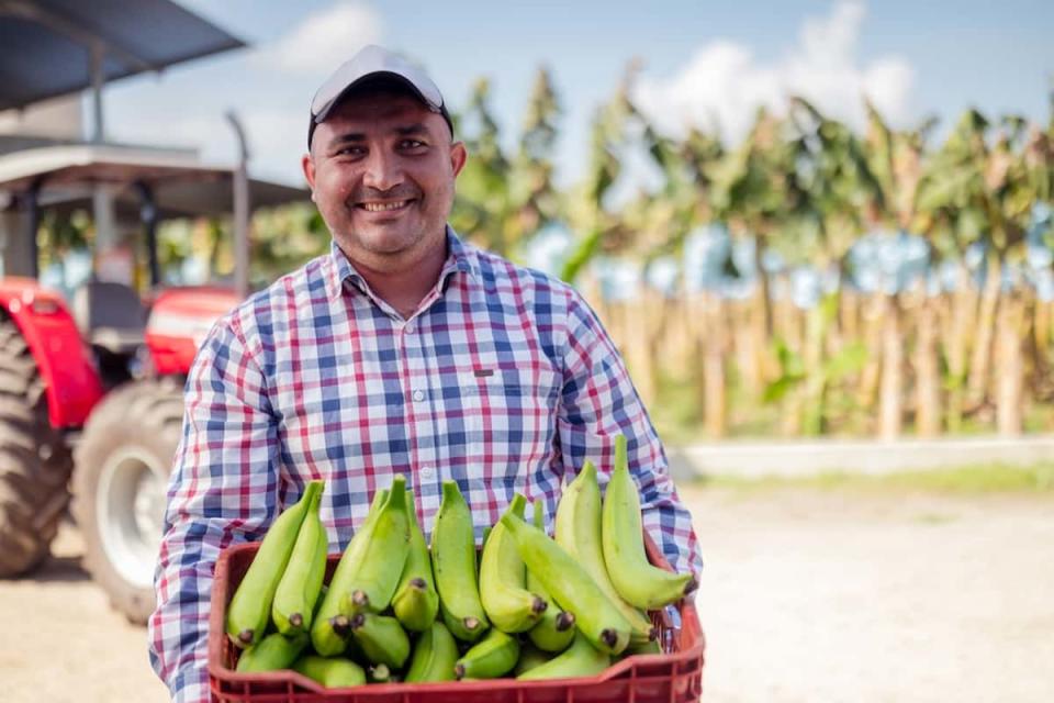 Todas las personas, de manera individual o colectiva, tienen derecho a una alimentación adecuada.