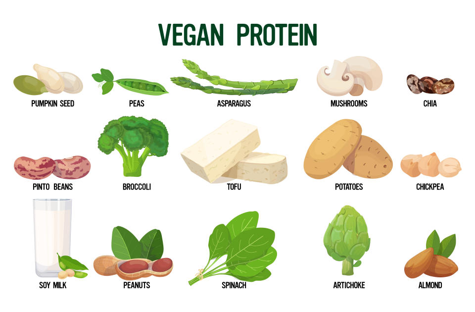 Vegan sources of protein including fresh wholefoods on white background horizontal vector illustration